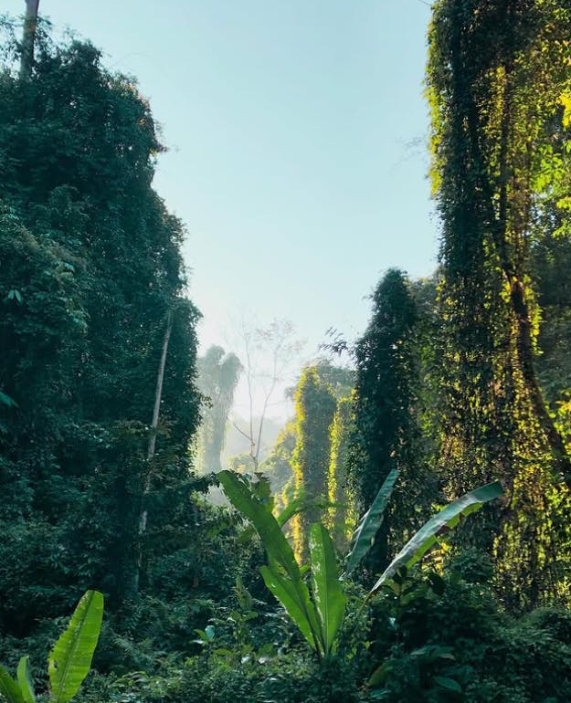 Go Trekking in Chiang Mai